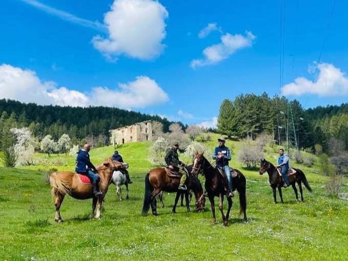 cavalli-vallepiccola