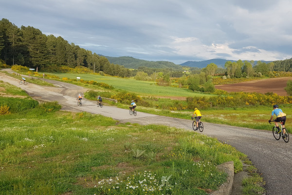Bike Experience in Sila