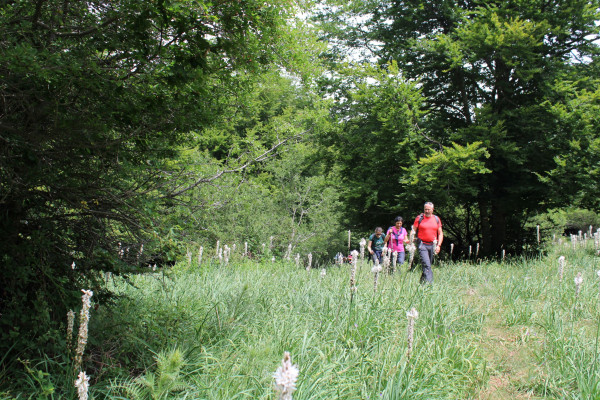 Trek Experience nel Parco Nazionale della Sila